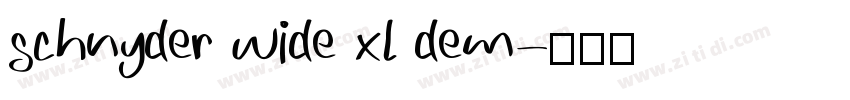 schnyder wide xl dem字体转换